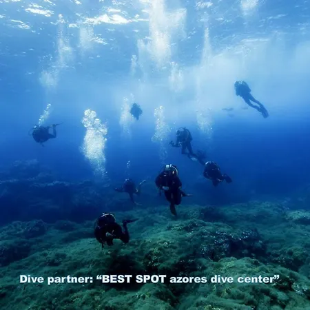 Lejlighed & Blue 3 Bedrooms Ponta Delgada