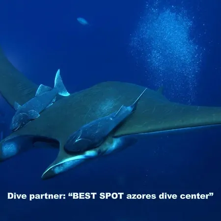 Lejlighed & Blue 3 Bedrooms *