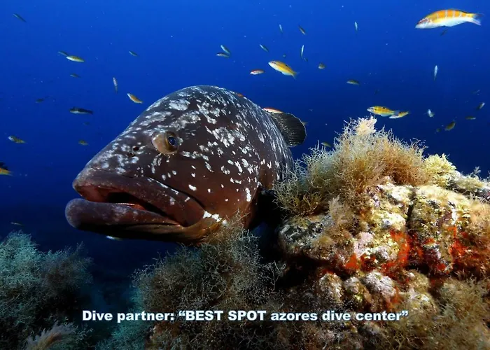 Διαμέρισμα & Blue 3 Bedrooms