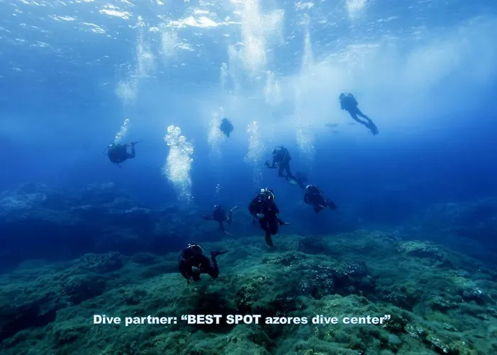 Διαμέρισμα & Blue 3 Bedrooms Πόντα Ντελγκάντα