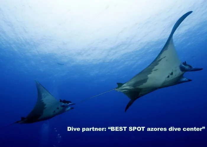 & Blue 3 Bedrooms * Πόντα Ντελγκάντα