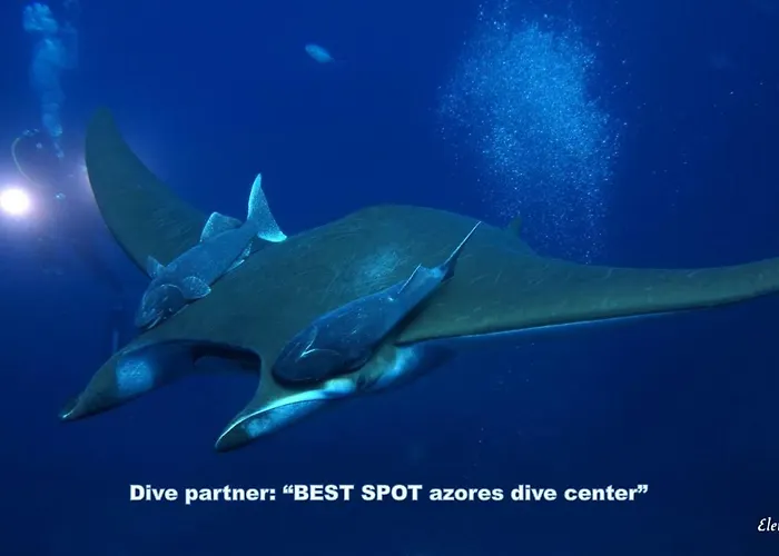 Διαμέρισμα & Blue 3 Bedrooms *