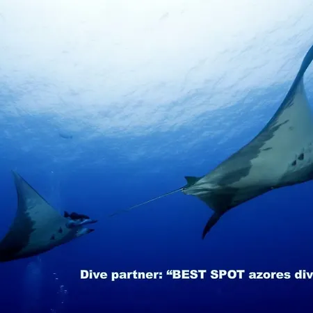 & Blue 3 Bedrooms * Ponta Delgada